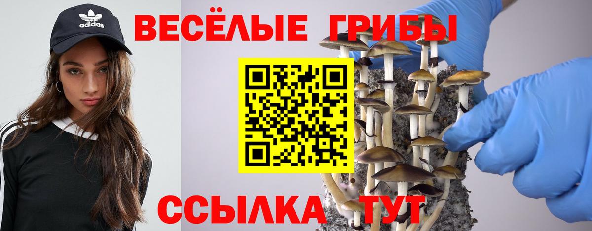 Псилоцибиновые грибы Psilocybe Узловая