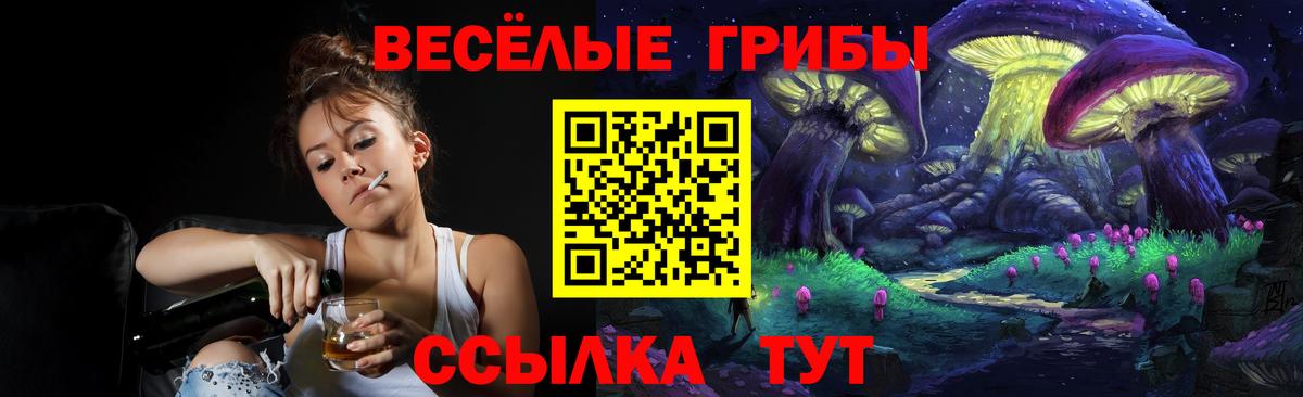 Узловая  Галлюциногенные грибы Psilocybine cubensis  Вход с VPN 