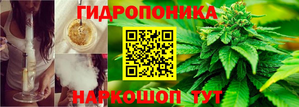 Узловая  Бошки марихуана семена  Вход с VPN  Каннабис White Widow  Шишки марихуана THC 21% 